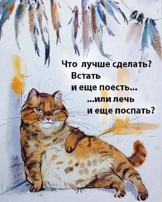 Что лучше сделать? Встать и еще поесть... ...или лечь и еще поспать?