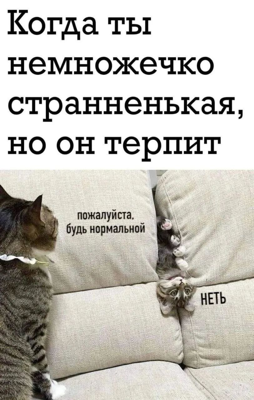 Когда ты немножечко странненькая, но он терпит пожалуйста. будь нормальной НЕТЬ
