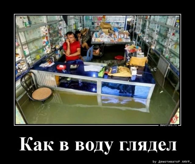 Как в воду глядел. На изображении видно затопленный магазин, предположительно зоомагазин или магазин аквариумов, где продавец стоит за прилавком по колено в воде и разговаривает по телефону.