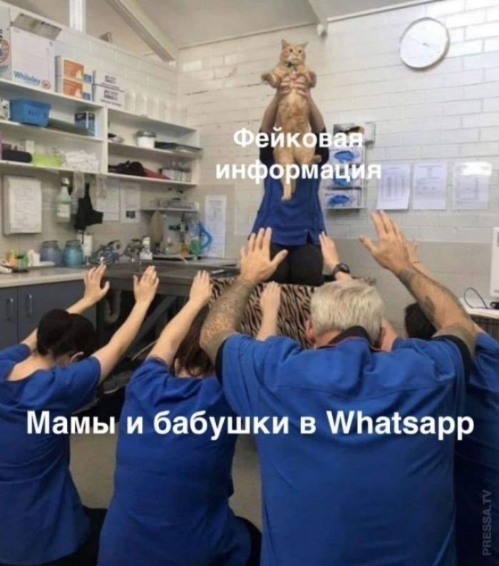 Фейковая информация Мамы и бабушки в Whatsapp