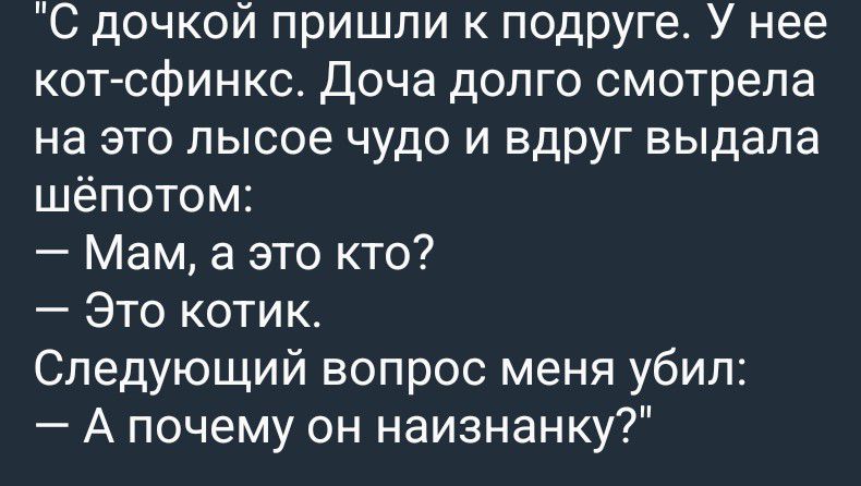С дочкой пришли к подруге. У нее кот-сфинкс. Доча долго смотрела на это лысое чудо и вдруг выдала шёпотом: — Мам, а это кто? — Это котик. Следующий вопрос меня убил: — А почему он наизнанку?