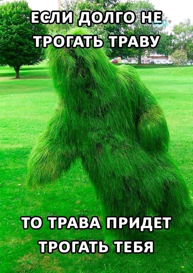 ЕСЛИ ДОЛГО НЕ ТРОГАТЬ ТРАВУ ТО ТРАВА ПРИДЕТ ТРОГАТЬ ТЕБЯ