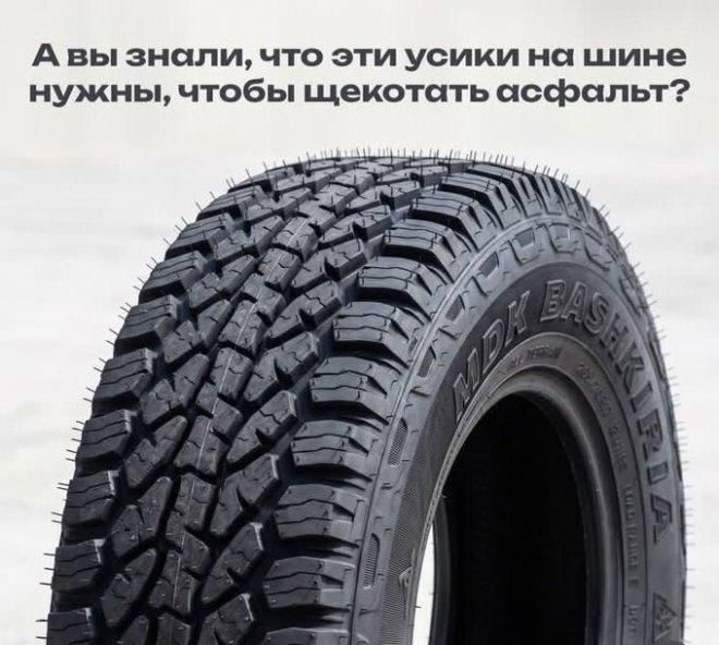 А вы знали, что эти усики на шине нужны, чтобы щекотать асфальт?