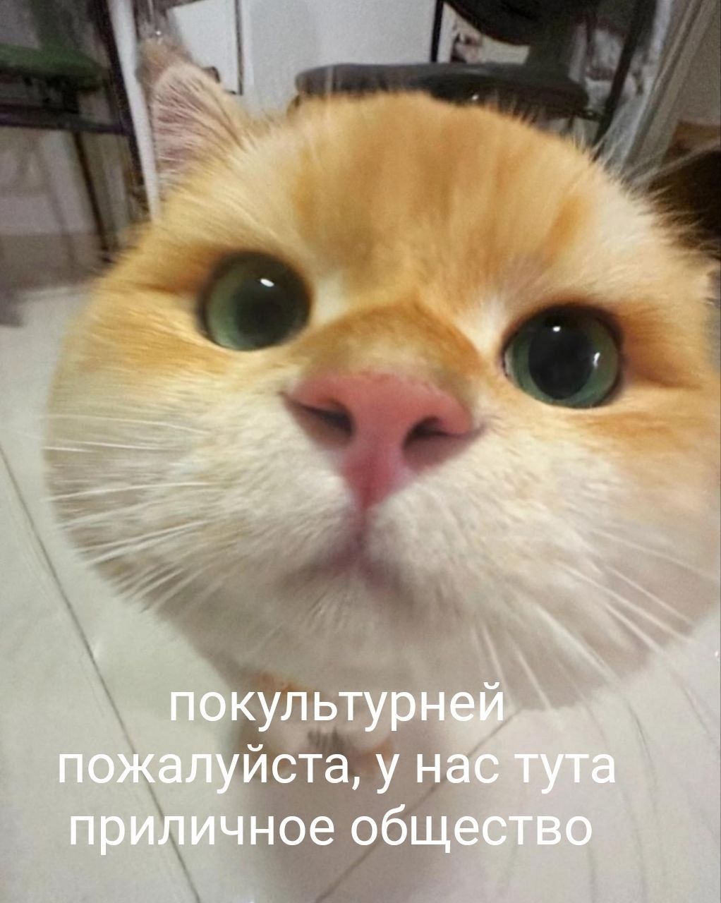 покультурней пожалуйста, у нас тута приличное общество