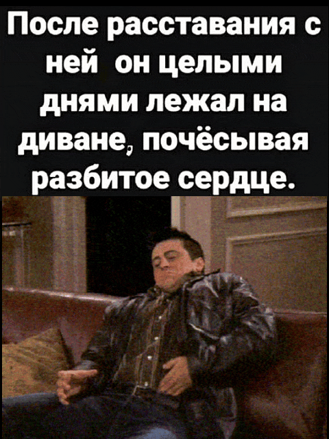 После расставания с ней он целыми днями лежал на диване, почёсывая разбитое сердце.
