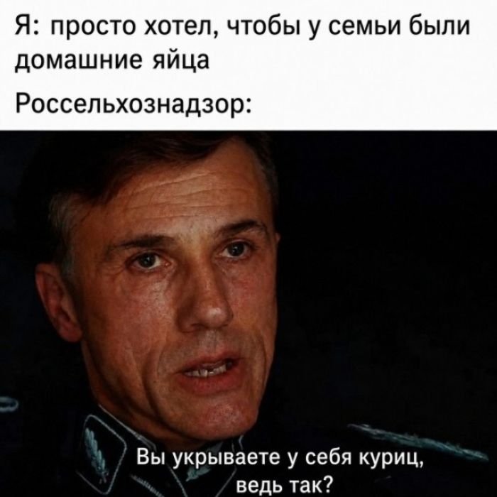 Я: просто хотел, чтобы у семьи были домашние яйца Россельхознадзор: Вы укрываете у себя куриц, ведь так?