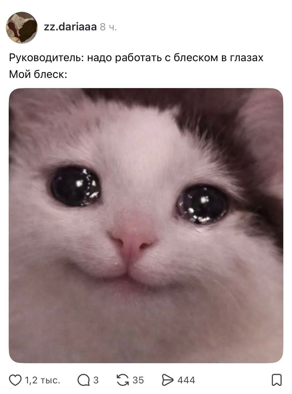 Руководитель: надо работать с блеском в глазах. Мой блеск: