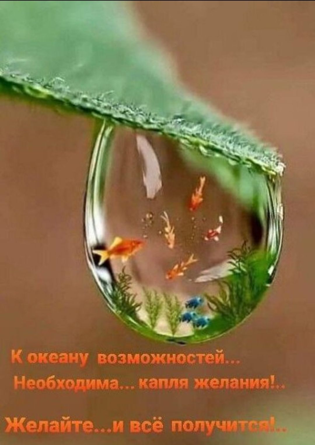 К океану возможностей... Необходима... капля желания!.. Желайте...и всё получится!..