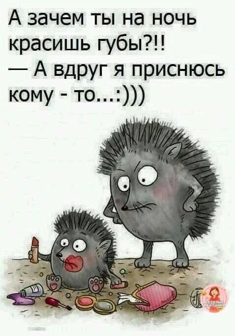 А зачем ты на ночь красишь губы?! — А вдруг я приснюсь кому - то...:)))