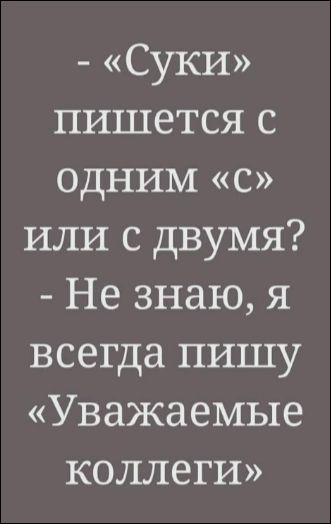 - «Суки» пишется с одним «с» или с двумя? - Не знаю, я всегда пишу «Уважаемые коллеги»