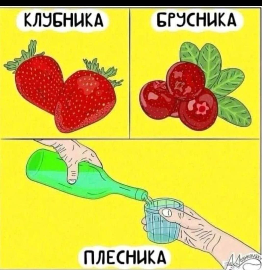 КЛУБНИКА БРУСНИКА ПЛЕСНИКА