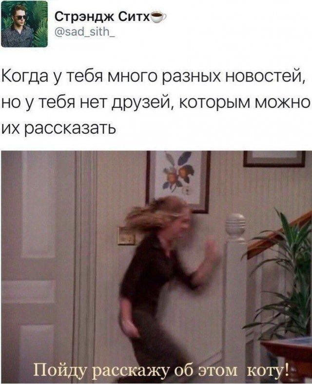 СтрЭндж Ситх☕ @sad_sith_ Когда у тебя много разных новостей, но у тебя нет друзей, которым можно их рассказать Пойду расскажу об этом коту!