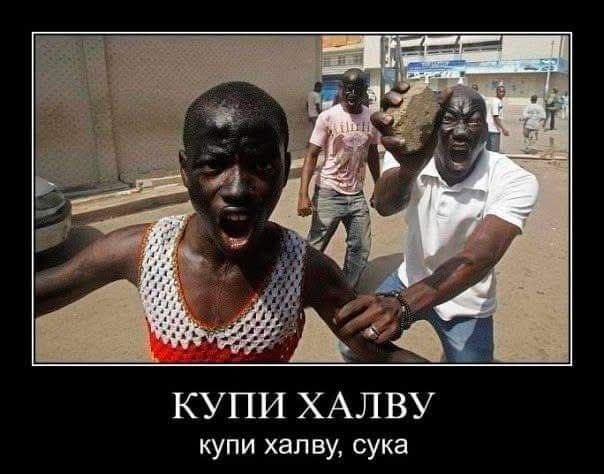 КУПИ ХАЛВУ купи халву, сука
