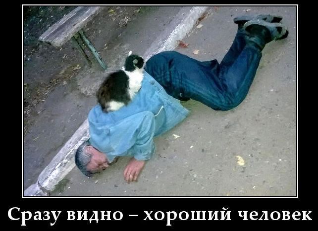 Сразу видно – хороший человек