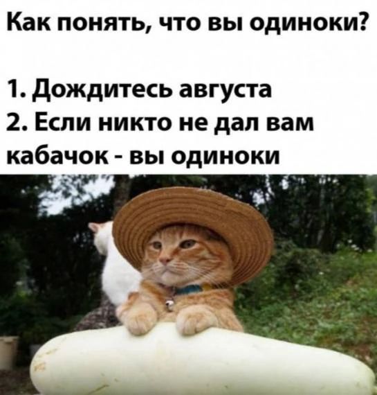Как понять, что вы одиноки? 1. Дождитесь августа 2. Если никто не дал вам кабачок - вы одиноки