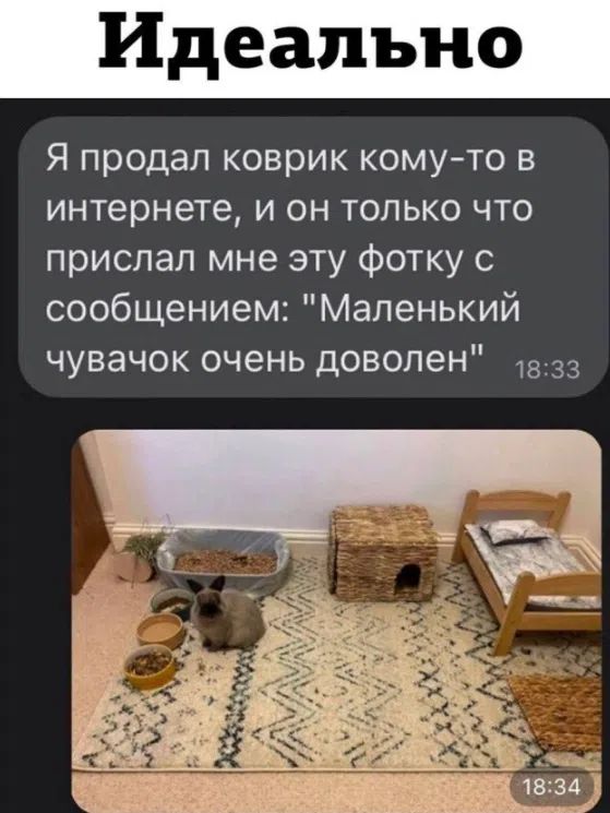 Идеально. Я продал коврик кому-то в интернете, и он только что прислал мне эту фотку с сообщением: Маленький чувачок очень доволен