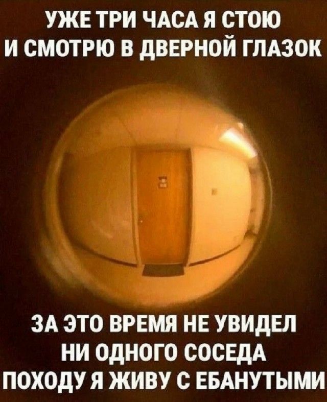 Уже три часа я стою и смотрю в дверной глазок. За это время не увидел ни одного соседа. Походу я живу с ебанутыми.