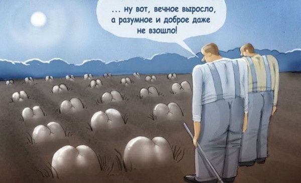 ... Ну вот, вечное выросло, а разумное и доброе даже не взошло!