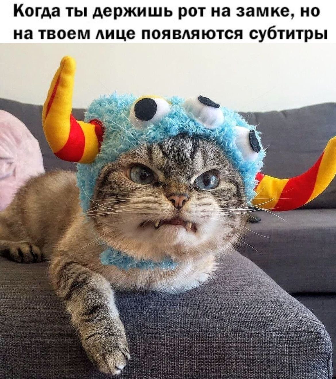 Когда ты держишь рот на замке, но на твоем лице появляются субтитры