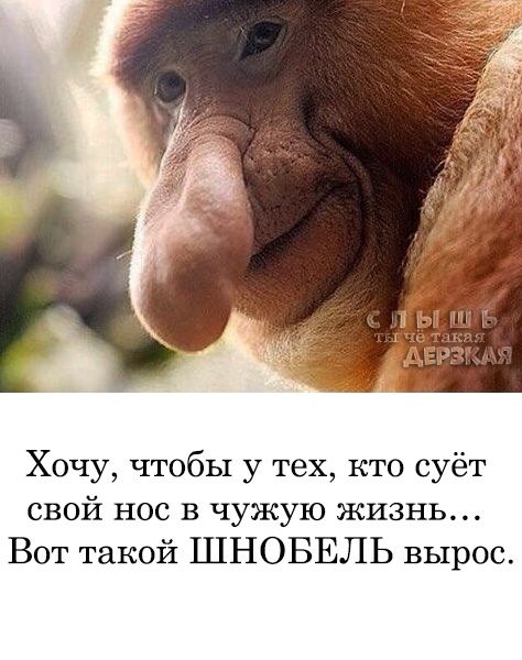 Хочу, чтобы у тех, кто суёт свой нос в чужую жизнь... Вот такой ШНОБЕЛЬ вырос. СЛЫШЬ ТЫ ЧЁ ТАКАЯ ДЕРЗКАЯ