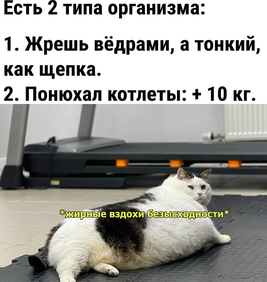 Есть 2 типа организма:
1. Жрешь вёдрами, а тонкий, как щепка.
2. Понюхал котлеты: + 10 кг.
*жирные вздохи безысходности*