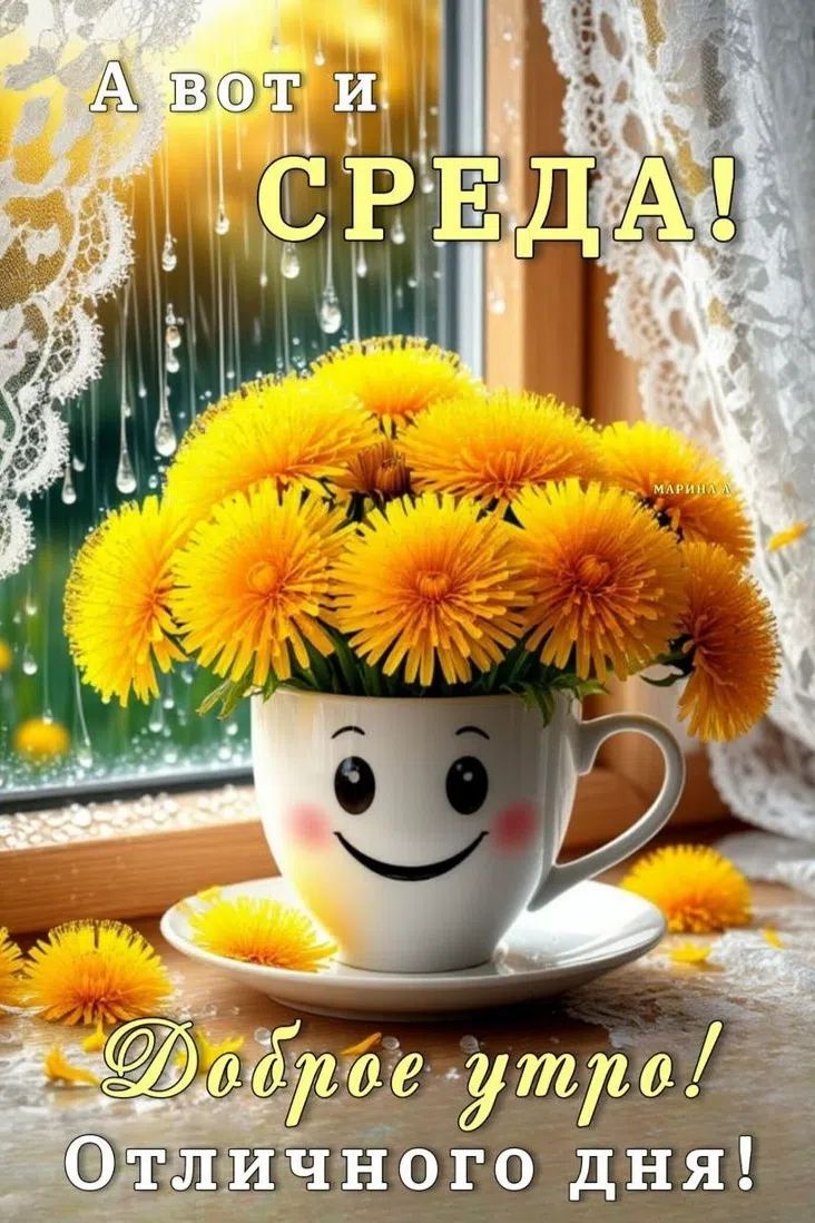 А вот и СРЕДА! Доброе утро! Отличного дня!