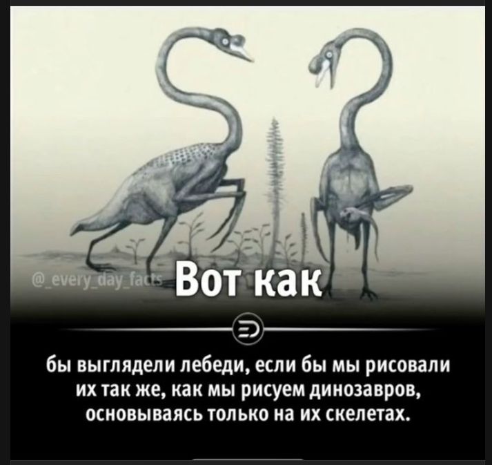 Вот как бы выглядели лебеди, если бы мы рисовали их так же, как мы рисуем динозавров, основываясь только на их скелетах.
