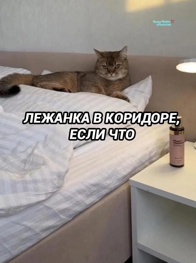 ЛЕЖАНКА В КОРИДОРЕ, ЕСЛИ ЧТО