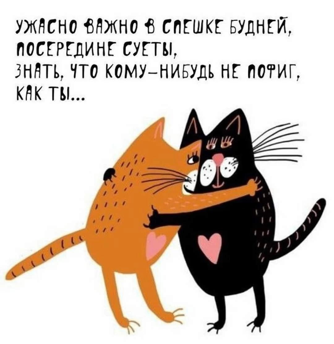УЖАСНО ВАЖНО В СПЕШКЕ БУДНЕЙ, ПОСЕРЕДИНЕ СУЕТЫ, ЗНАТЬ, ЧТО КОМУ-НИБУДЬ НЕ ПОФИГ, КАК ТЫ...