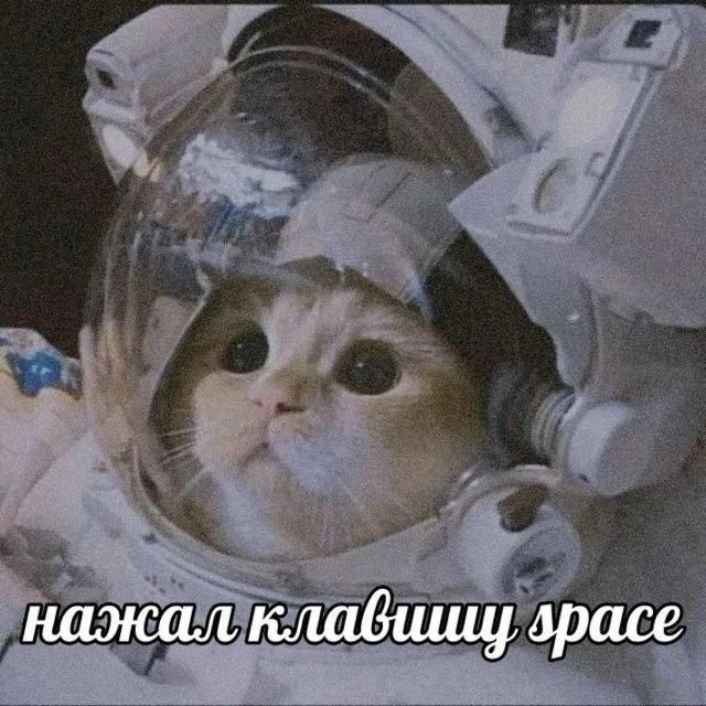 нажал клавишу space