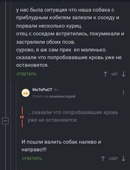 у нас была ситуация что наша собака с приблудным кобелем залезли к соседу и порвали несколько куриц. отец с соседом встретились, покумекали и застрелили обоих псов. сурово, я аж сам прих*ел маленько. сказали что попробовавшие кровь уже не остановятся. ...сказали что попробовавшие кровь уже не остановятся. И пошли валить собак налево и направо!!!