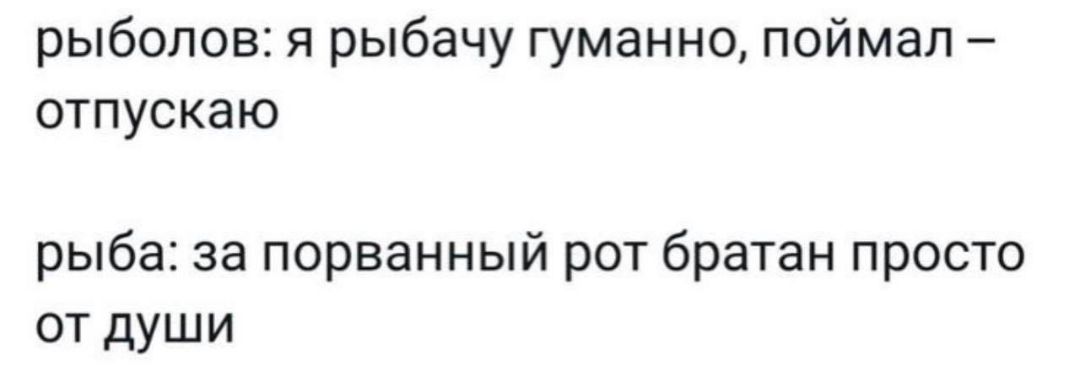 рыболов: я рыбачу гуманно, поймал – отпускаю. рыба: за порванный рот братан просто от души