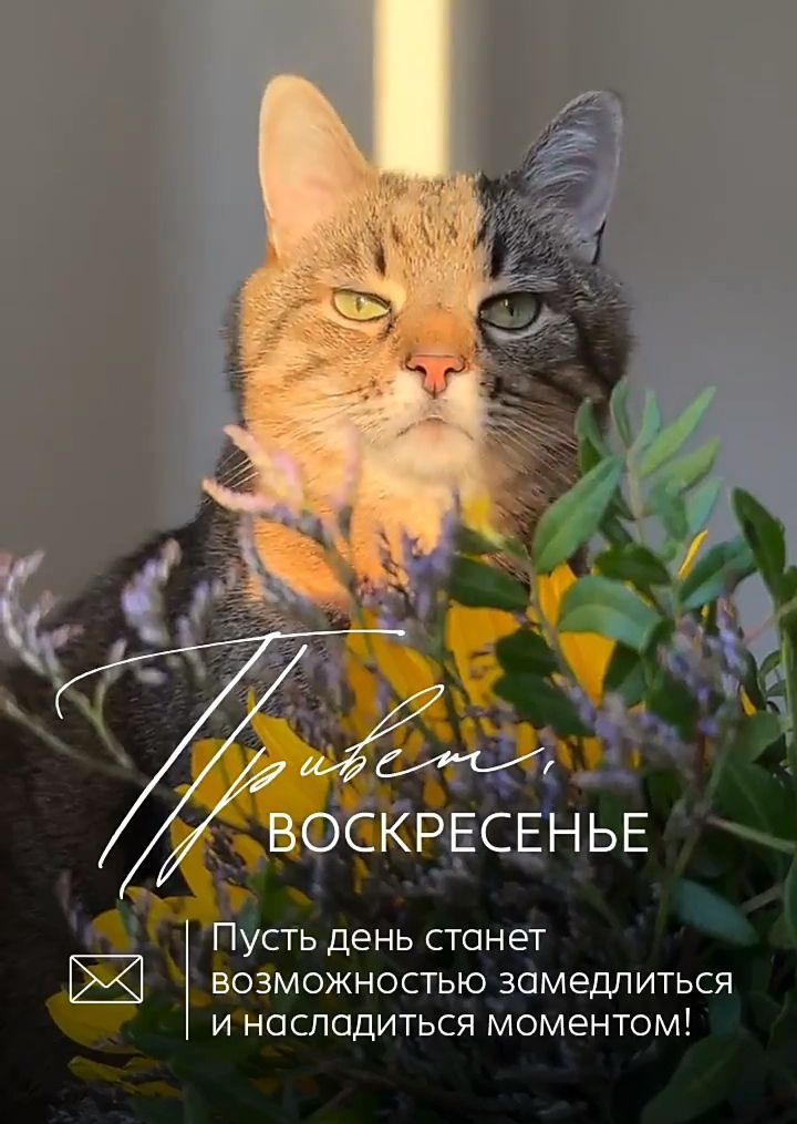 Привет, ВОСКРЕСЕНЬЕ. Пусть день станет возможностью замедлиться и насладиться моментом!