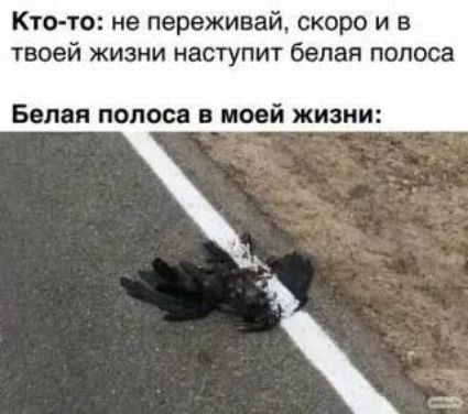 Кто-то: не переживай, скоро и в твоей жизни наступит белая полоса
Белая полоса в моей жизни: