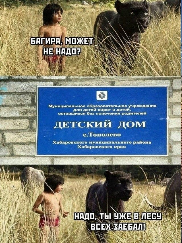 БАГИРА, МОЖЕТ НЕ НАДО? Муниципальное образовательное учреждение для детей-сирот и детей, оставшихся без попечения родителей ДЕТСКИЙ ДОМ с. Тополево Хабаровского муниципального района Хабаровского края НАДО, ТЫ УЖЕ В ЛЕСУ ВСЕХ ЗАЕБАЛ!