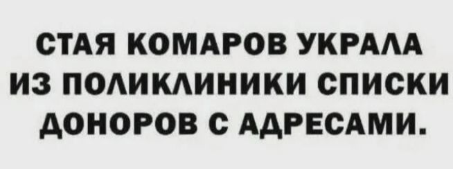 СТАЯ КОМАРОВ УКРАЛА ИЗ ПОЛИКЛИНИКИ СПИСКИ ДОНОРОВ С АДРЕСАМИ.