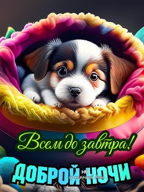 Всем до завтра! ДОБРОЙ НОЧИ нб гр хороший день