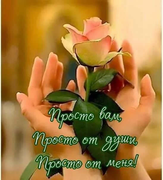 Просто вам, Просто от души, Просто от меня!