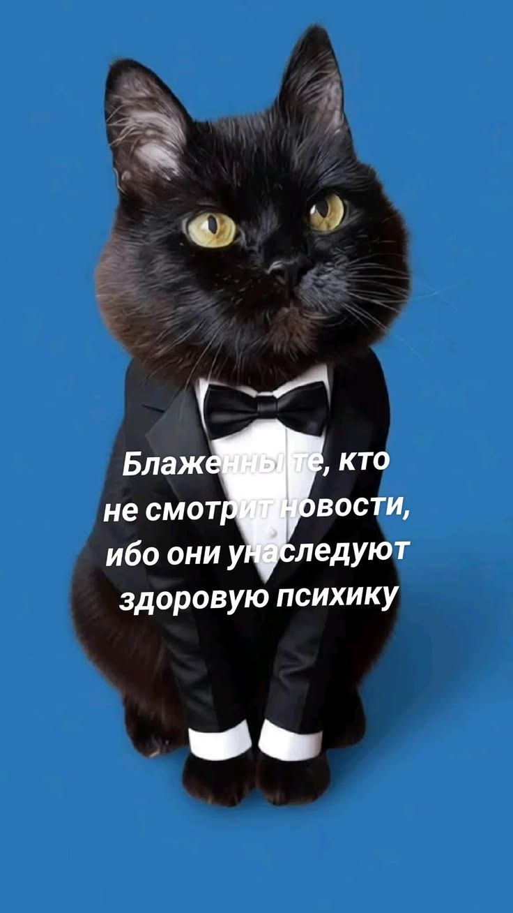 Блаженны те, кто не смотрит новости, ибо они унаследуют здоровую психику