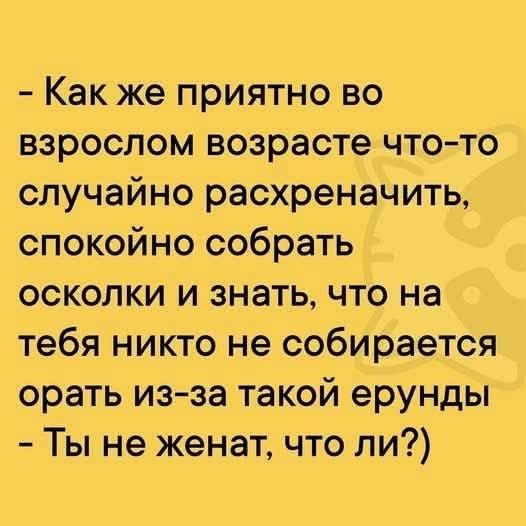 Как же приятно во взрослом возрасте что-то случайно расхреначить, спокойно собрать осколки и знать, что на тебя никто не собирается орать из-за такой ерунды. Ты не женат, что ли?