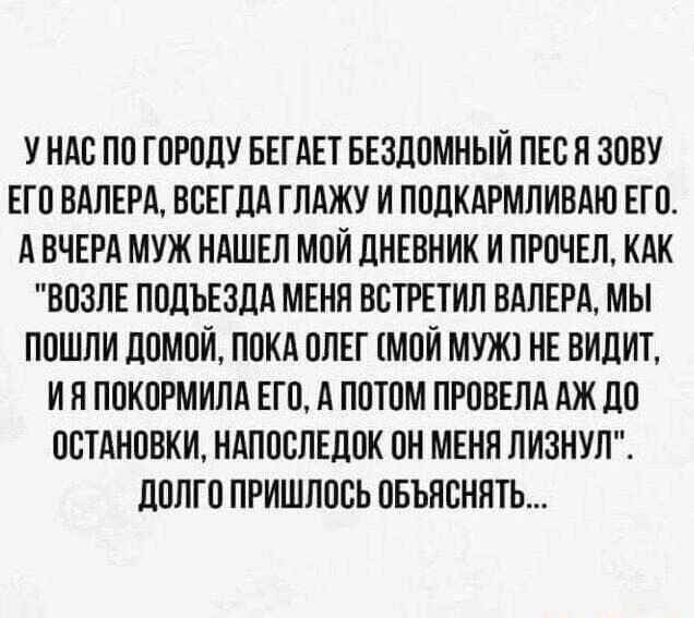 У нас по городу бегает бездомный пес, я зову его Валера, всегда глажу и подкармливаю его. А вчера муж нашел мой дневник и прочел, как 
