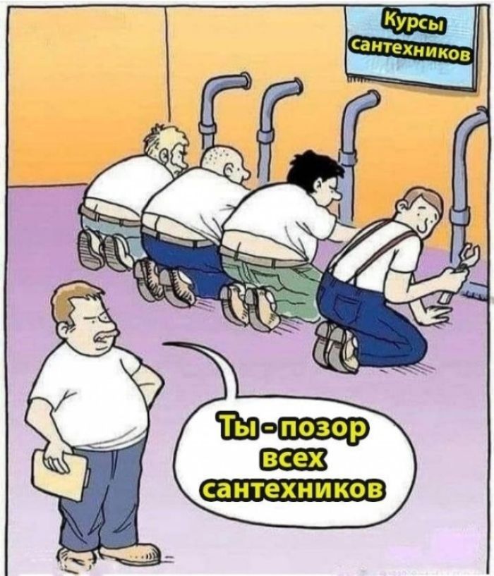Курсы сантехников. Ты - позор всех сантехников.