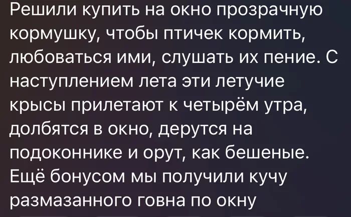 Решили купить на окно прозрачную кормушку, чтобы птичек кормить, любоваться ими, слушать их пение. С наступлением лета эти летучие крысы прилетают к четырём утра, долбятся в окно, дерутся на подоконнике и орут, как бешеные. Ещё бонусом мы получили кучу размазанного говна по окну