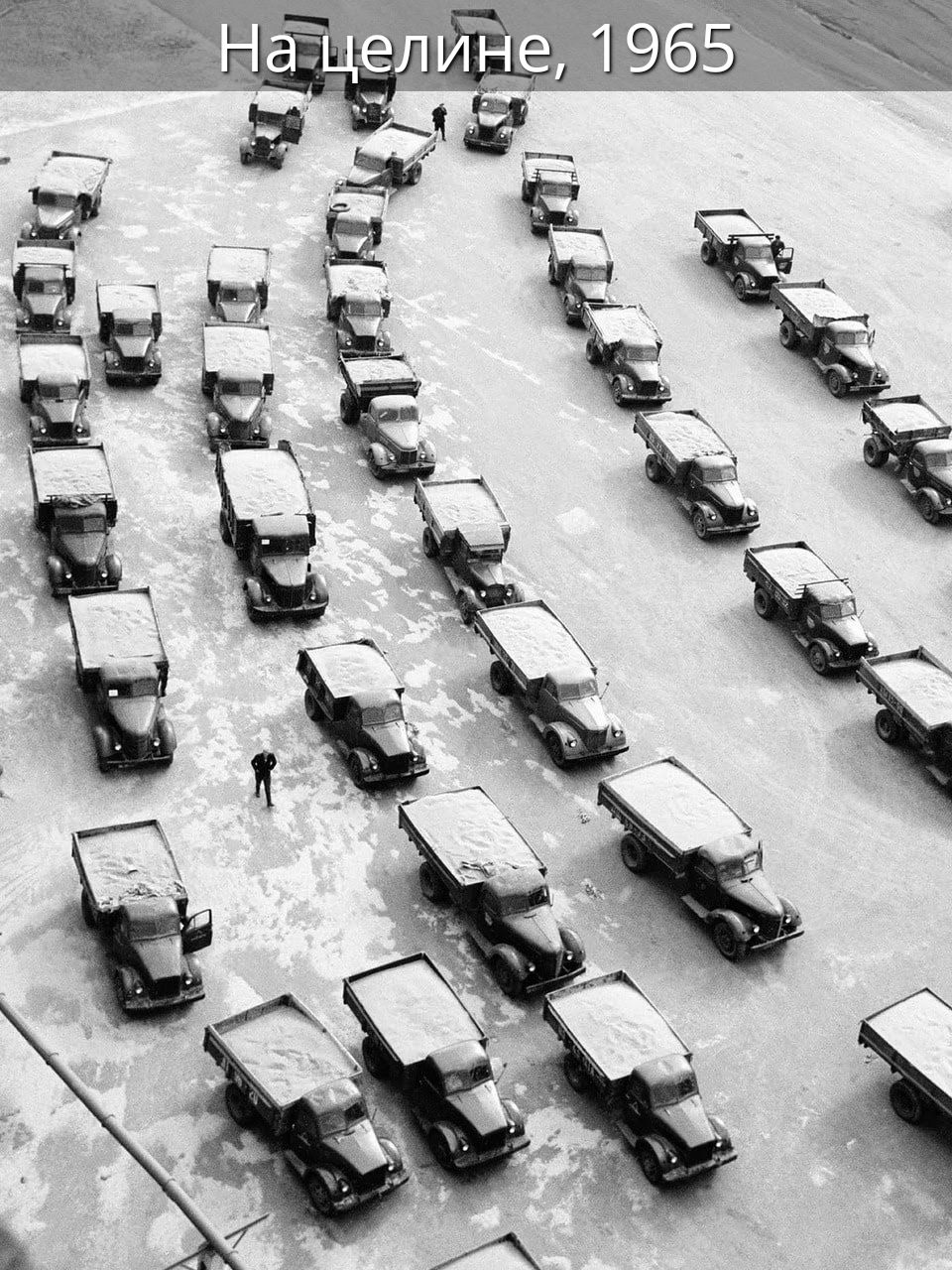 На целине, 1965