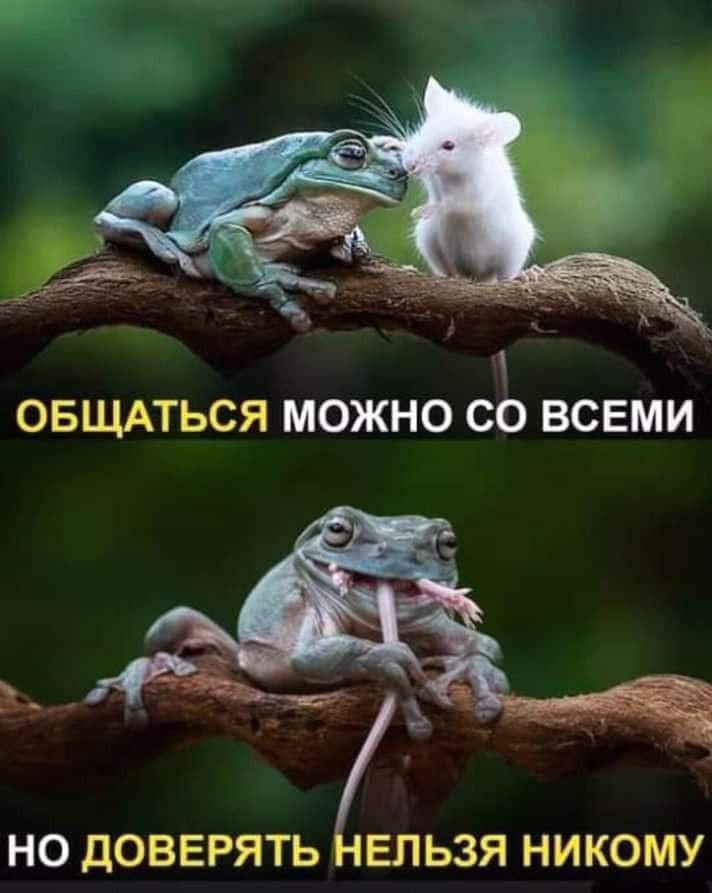 ОБЩАТЬСЯ МОЖНО СО ВСЕМИ НО ДОВЕРЯТЬ НЕЛЬЗЯ НИКОМУ