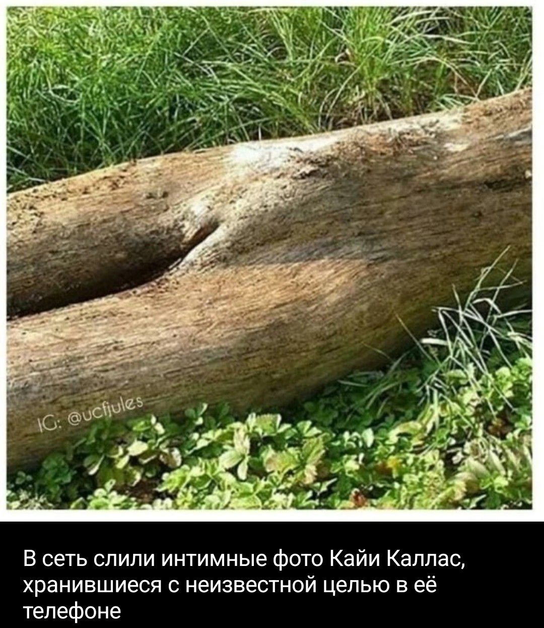 IG: @ucfjules В сеть слили интимные фото Кайи Каллас, хранившиеся с неизвестной целью в её телефоне