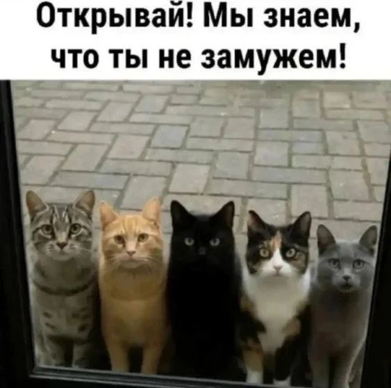 Открывай! Мы знаем, что ты не замужем!