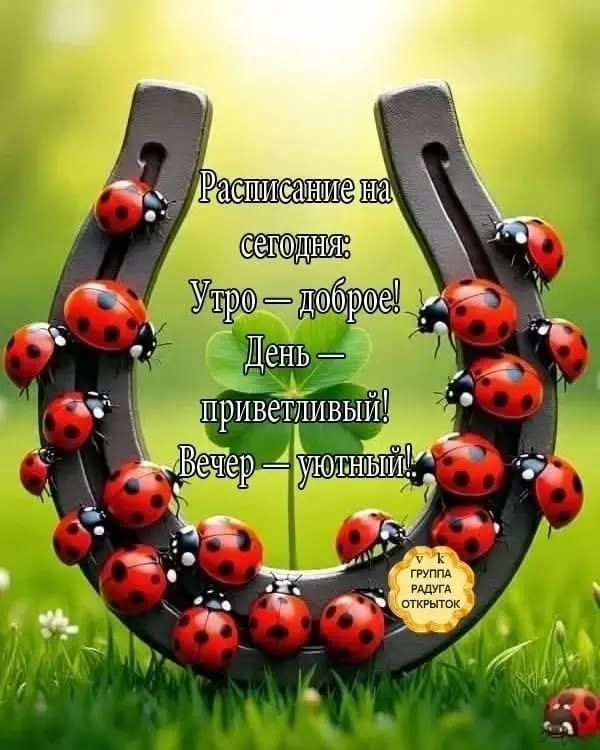 Расписание на сегодня: Утро — доброе! День — приветливый! Вечер — уютный! vk ГРУППА РАДУГА ОТКРЫТОК