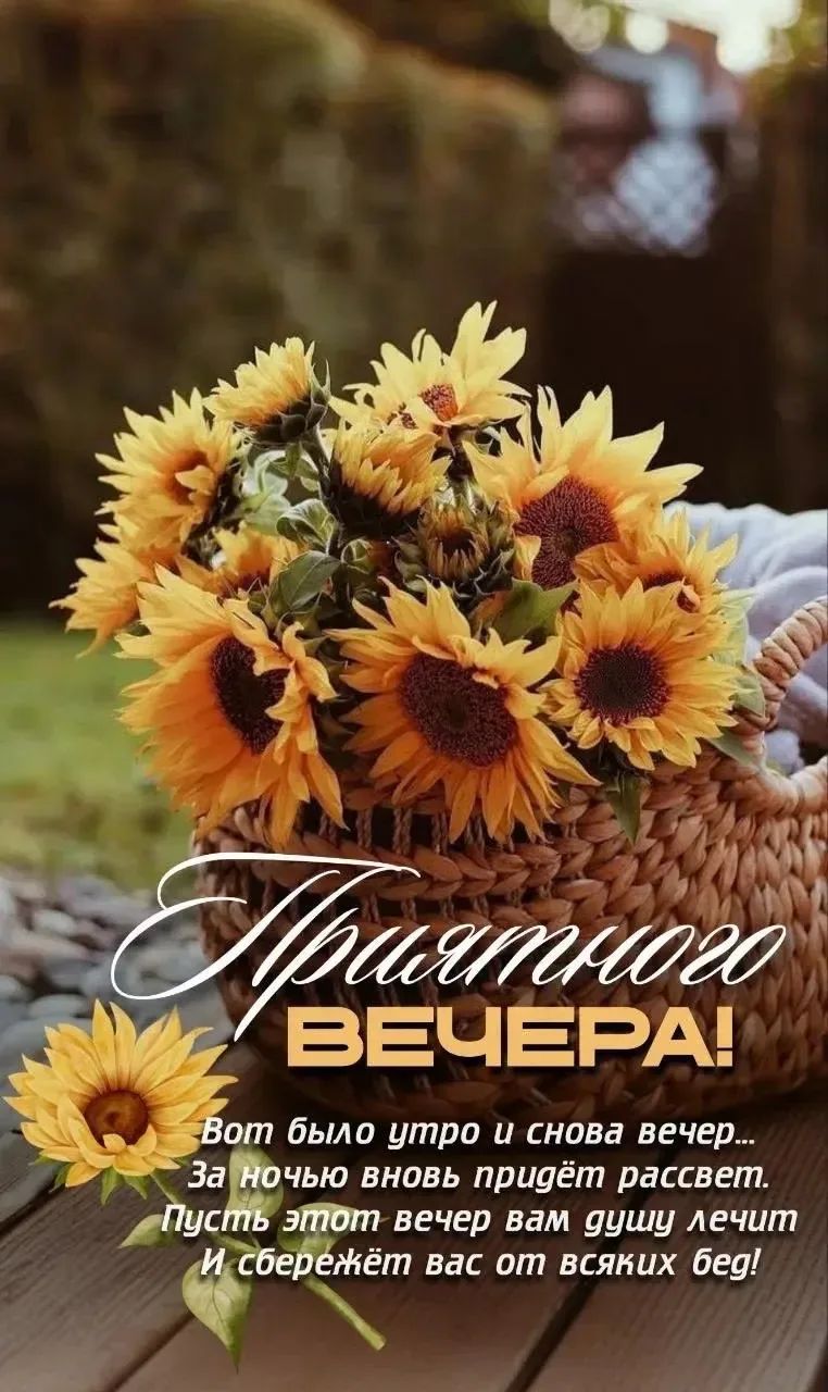 Приятного вечера! Вот было утро и снова вечер... За ночью вновь придёт рассвет. Пусть этот вечер вам душу лечит И сбережёт вас от всяких бед!