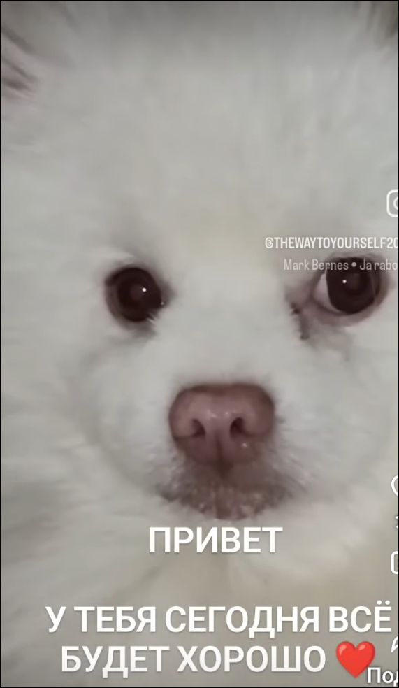 ПРИВЕТ У ТЕБЯ СЕГОДНЯ ВСЁ БУДЕТ ХОРОШО ❤️